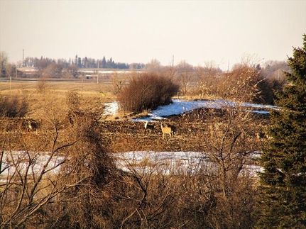 Farm and Ranch in Lincoln County, Minnesota
