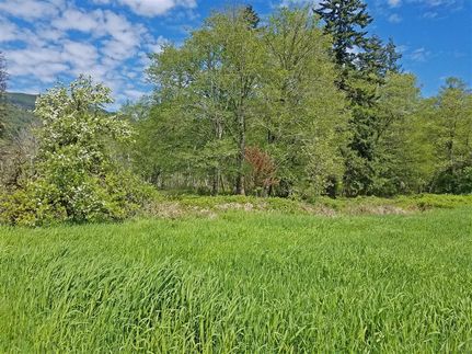 Timberland Property in Lewis County, Washington