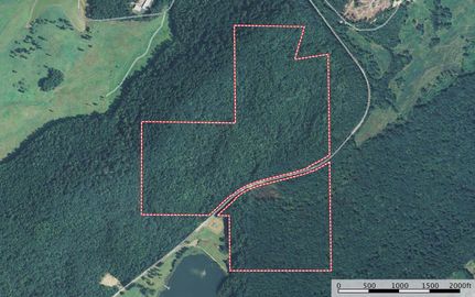 Timberland Property in Etowah County, Alabama