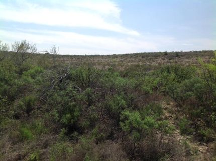 Recreational Property in Terrell County, Texas