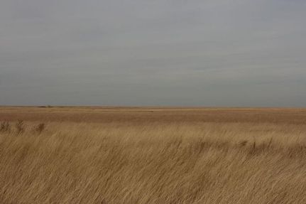 Farm and Ranch in Parmer County, Texas