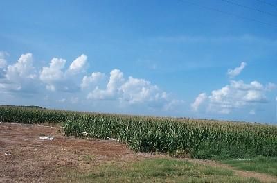 Farm and Ranch in Quitman County, Mississippi