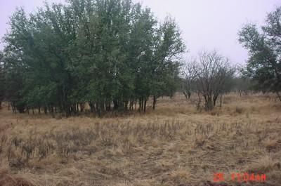 Land in Mills County, Texas