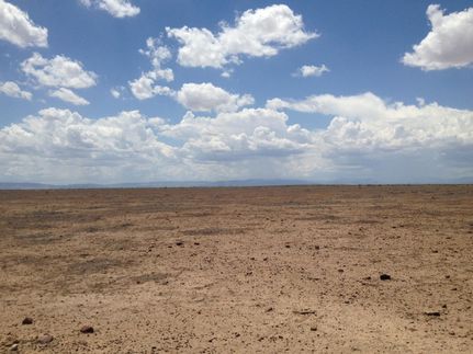 Farm and Ranch in Reeves County, Texas