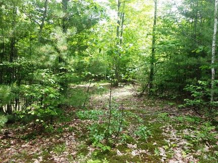Land in Merrimack County, New Hampshire