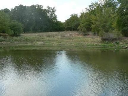 Farm and Ranch in Milam County, Texas