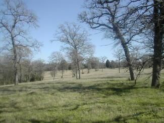 Farm and Ranch in Milam County, Texas