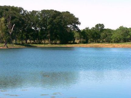 Farm and Ranch in Milam County, Texas