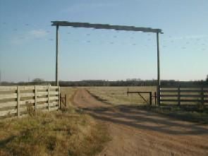 Farm and Ranch in Milam County, Texas