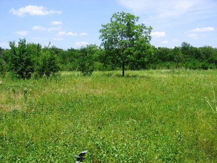 Farm and Ranch in Fannin County, Texas