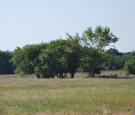 Farm and Ranch in Grayson County, Texas