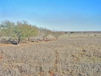 Farm and Ranch in La Salle County, Texas