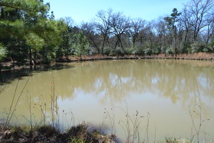 Hunting Property in Houston County, Texas