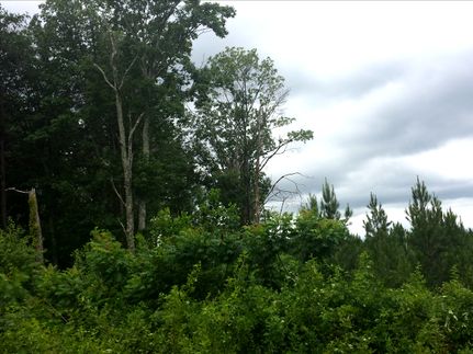 Farm and Ranch in Hamilton County, Tennessee