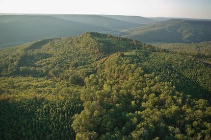 Farm and Ranch in Franklin County, Tennessee