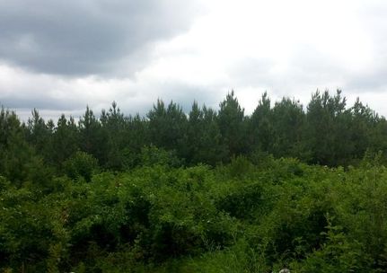 Farm and Ranch in Hamilton County, Tennessee