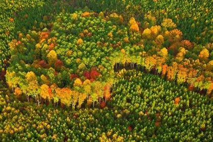 Farm and Ranch in Franklin County, Tennessee