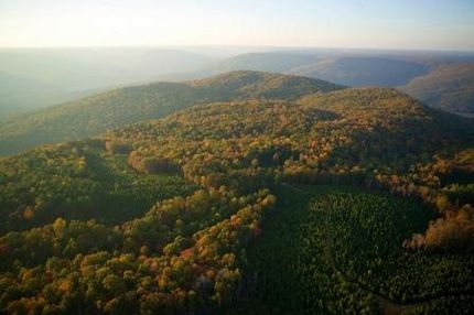 Farm and Ranch in Franklin County, Tennessee