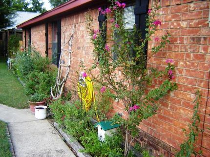 Recreational Property in Wise County, Texas