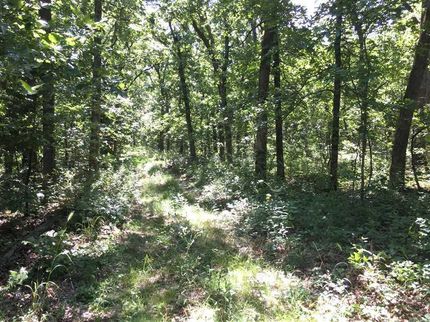 Farm and Ranch in Camden County, Missouri