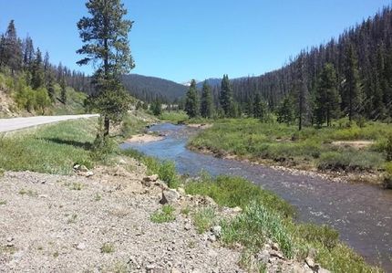 Timberland Property in Grand County, Colorado