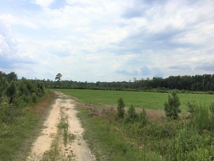 Land in Lee County, South Carolina