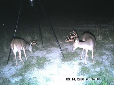 Farm and Ranch in Matagorda County, Texas