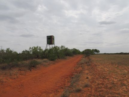 Farm and Ranch in Webb County, Texas