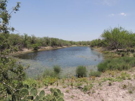 Timberland Property in Webb County, Texas