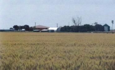 Farm and Ranch in Morgan County, Colorado