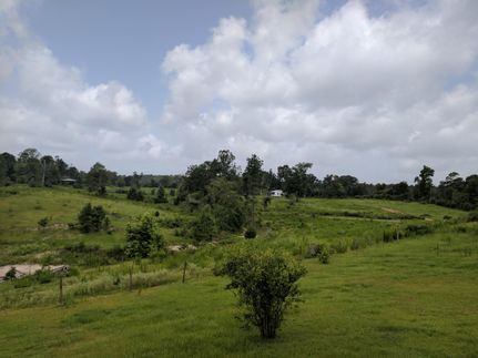 Farm and Ranch in Tyler County, Texas