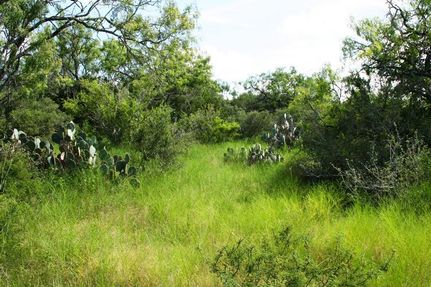 Farm and Ranch in Karnes County, Texas