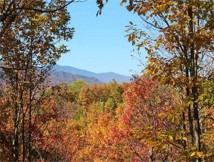 Land for sale in Avery County, North Carolina