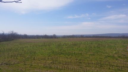 Recreational Property in Northumberland County, Pennsylvania