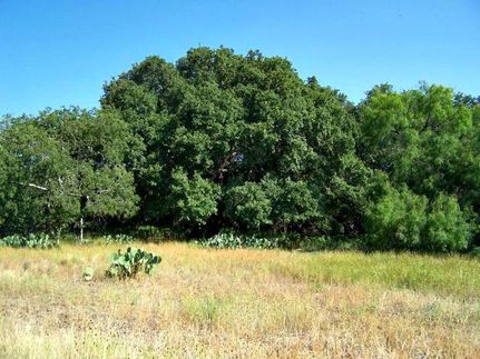 Farm and Ranch in Real County, Texas