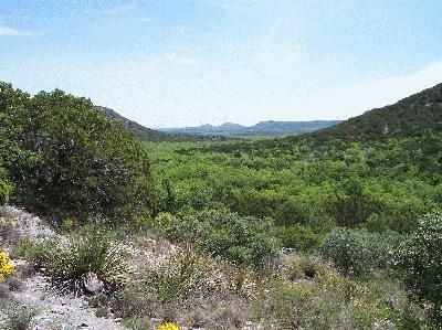 Farm and Ranch in Coke County, Texas