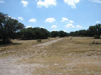 Timberland Property in Menard County, Texas
