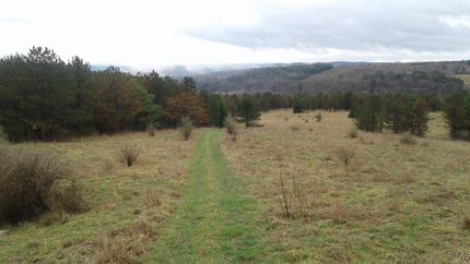 Recreational Property in Clearfield County, Pennsylvania