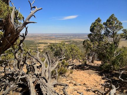 Land in Duchesne County, Utah