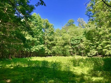 Timberland Property in Perry County, Pennsylvania