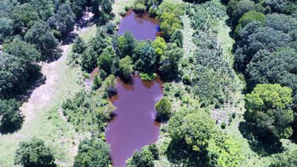 Recreational Property in Houston County, Texas