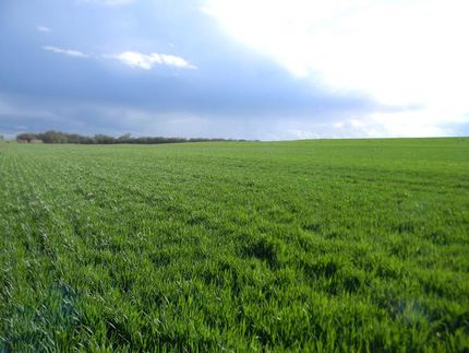 House in Garfield County, Oklahoma