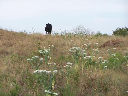 Farm and Ranch in Noble County, Oklahoma