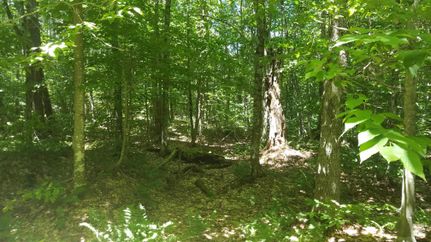 Land in Lewis County, New York