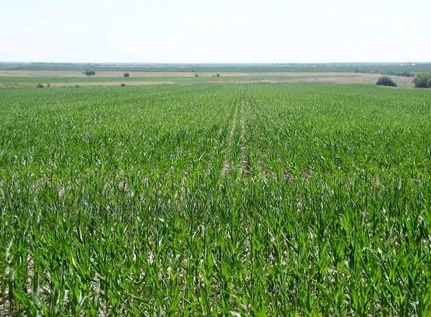 Recreational Property in Gosper County, Nebraska