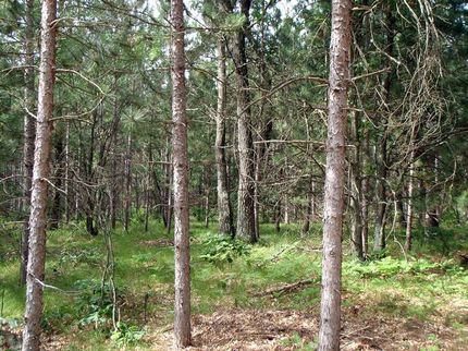 Farm and Ranch in Juneau County, Wisconsin