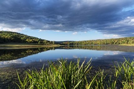 Waterfront Property in Cortland County, New York