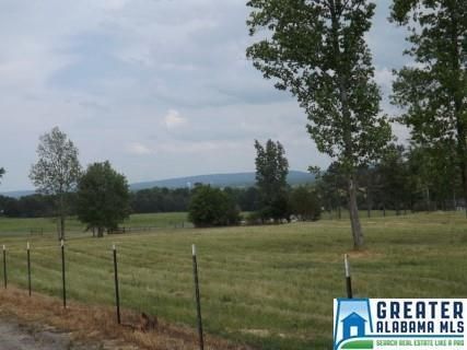 Undeveloped Land in Blount County, Alabama