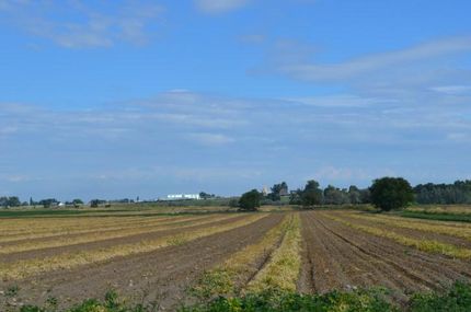 Farm and Ranch in Twin Falls County, Idaho