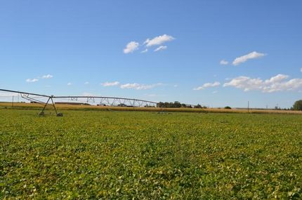 Farm and Ranch in Twin Falls County, Idaho